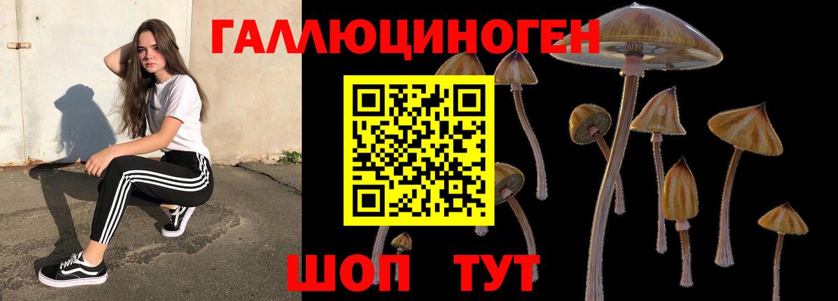 Элиста  Галлюциногенные грибы Psilocybe  Псилоцибиновые грибы мухоморы  Вход с VPN 